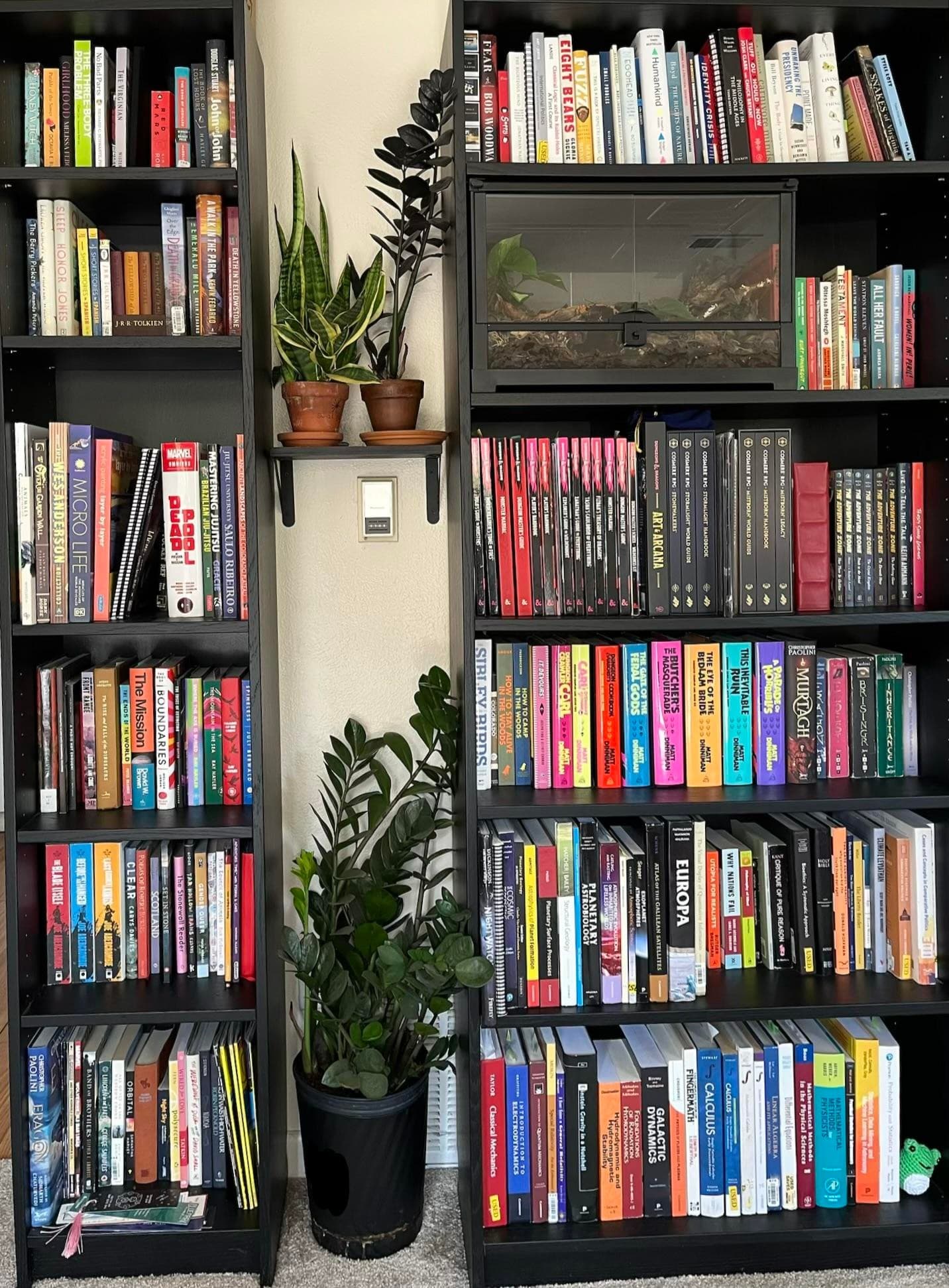 Bookshelf collection