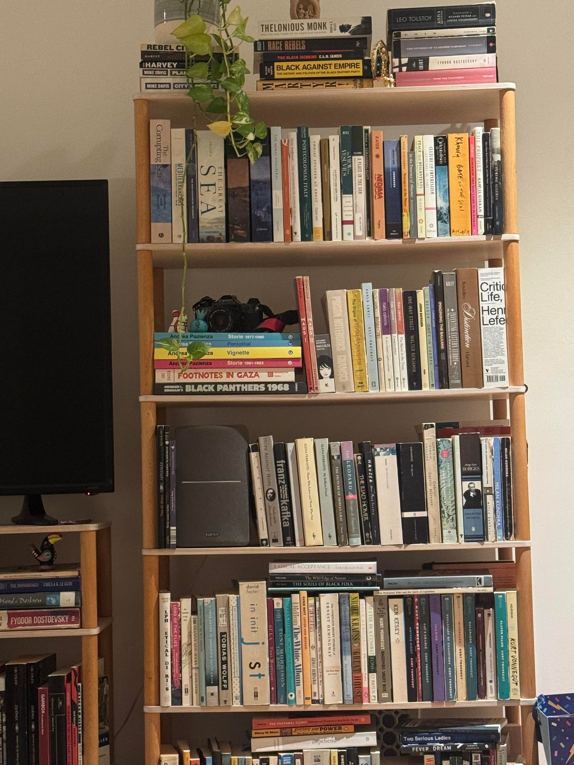 Uploaded bookshelf