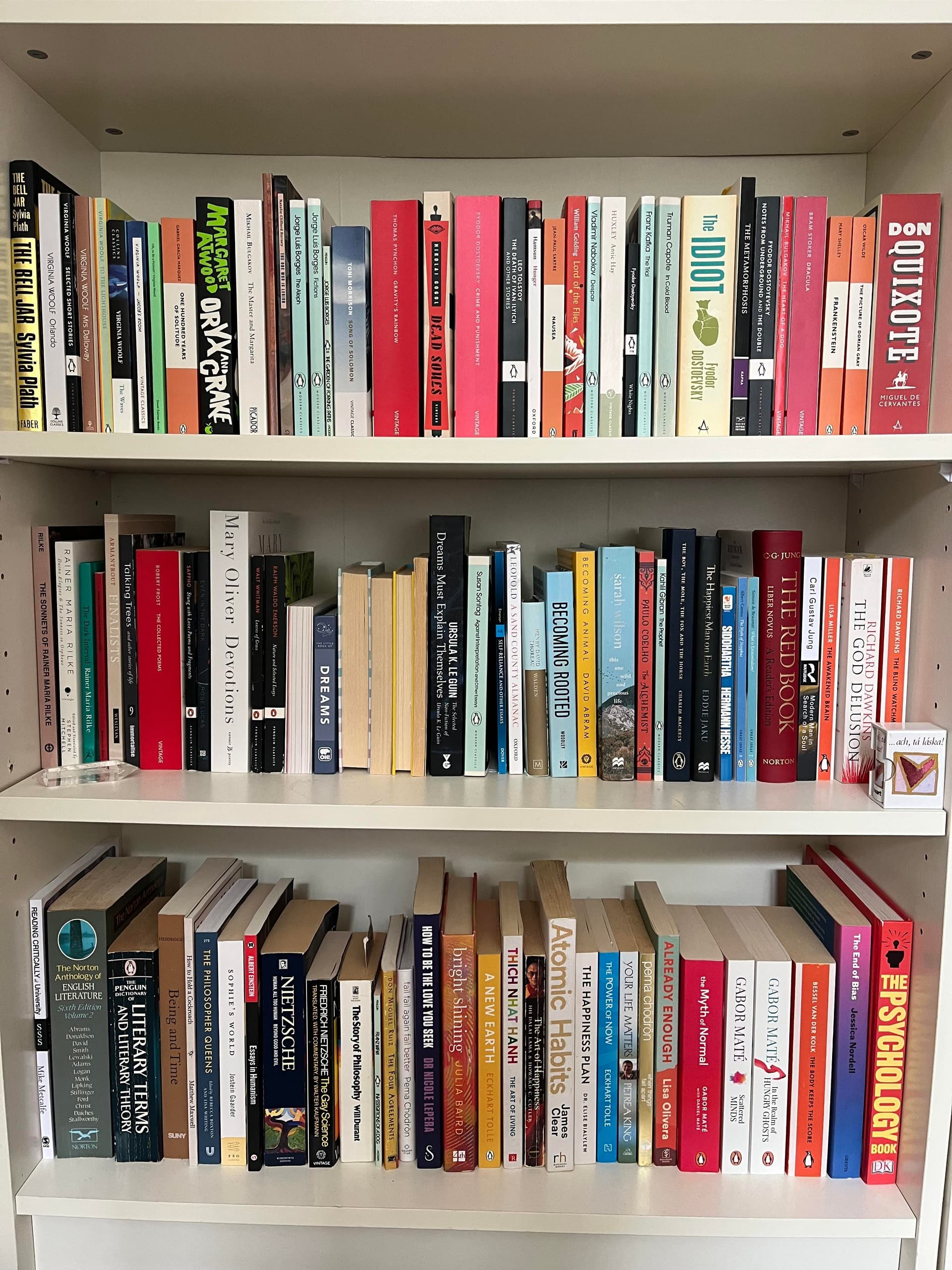 Shelf