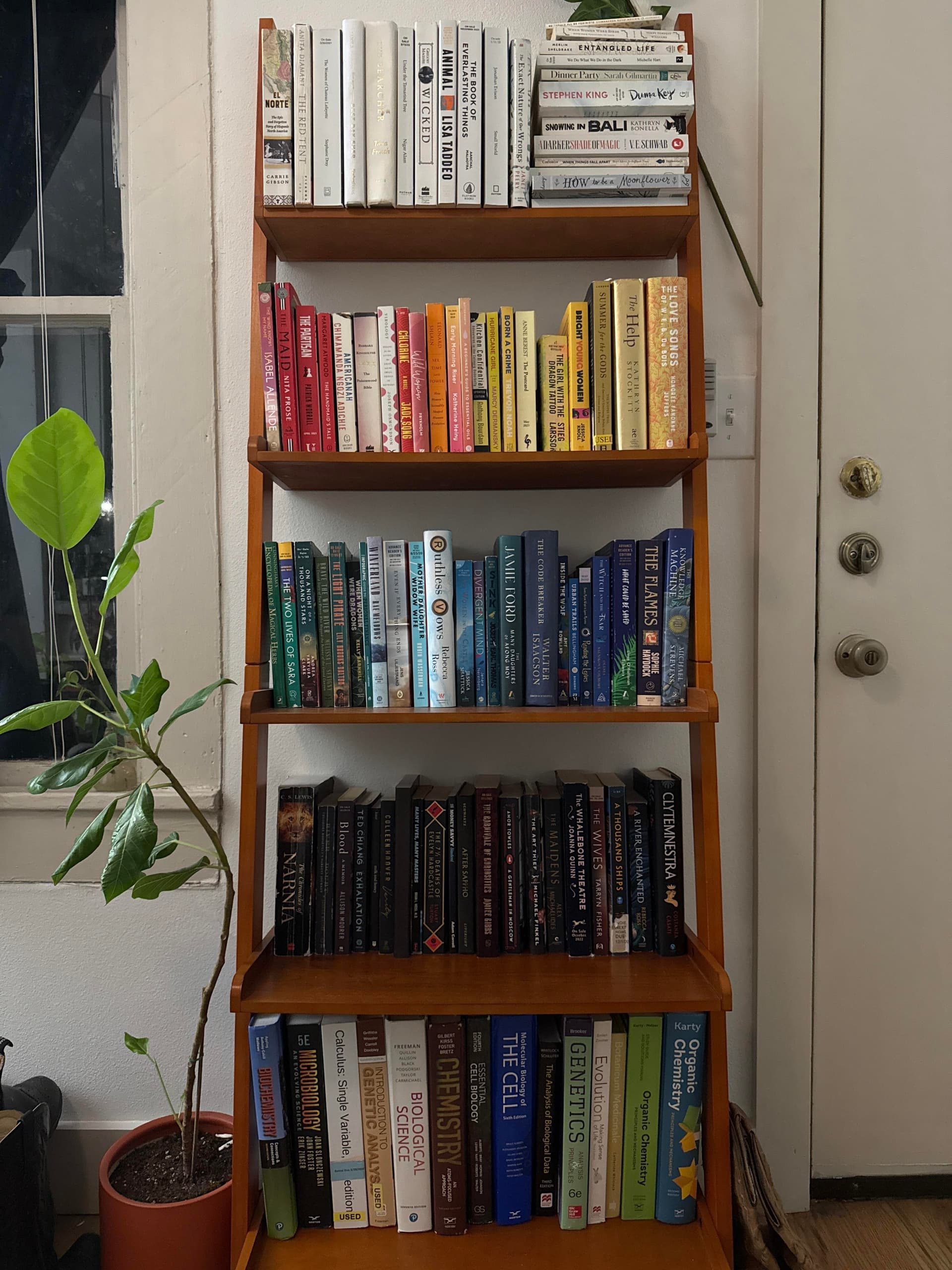 Bookshelf collection