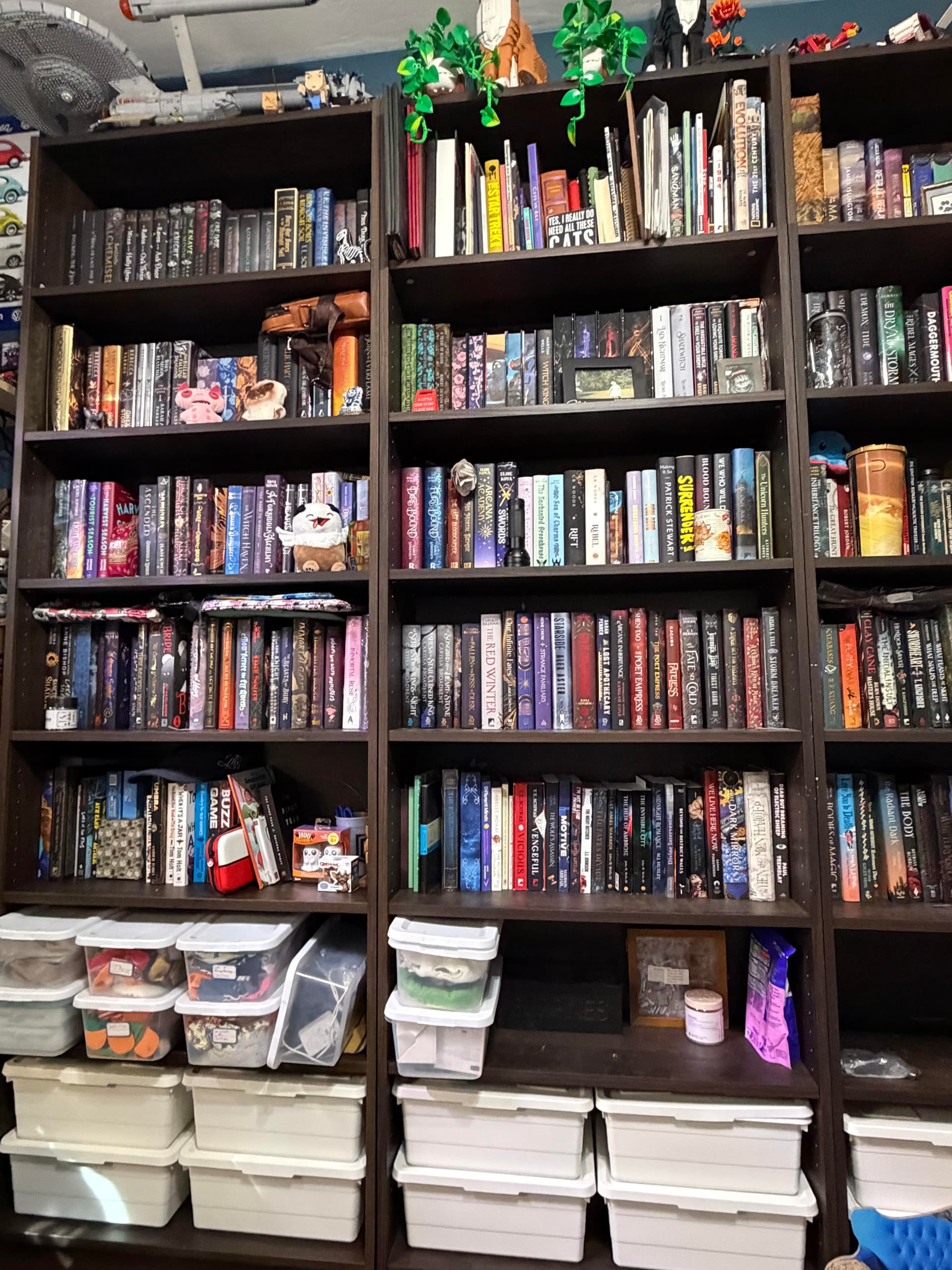 Uploaded bookshelf