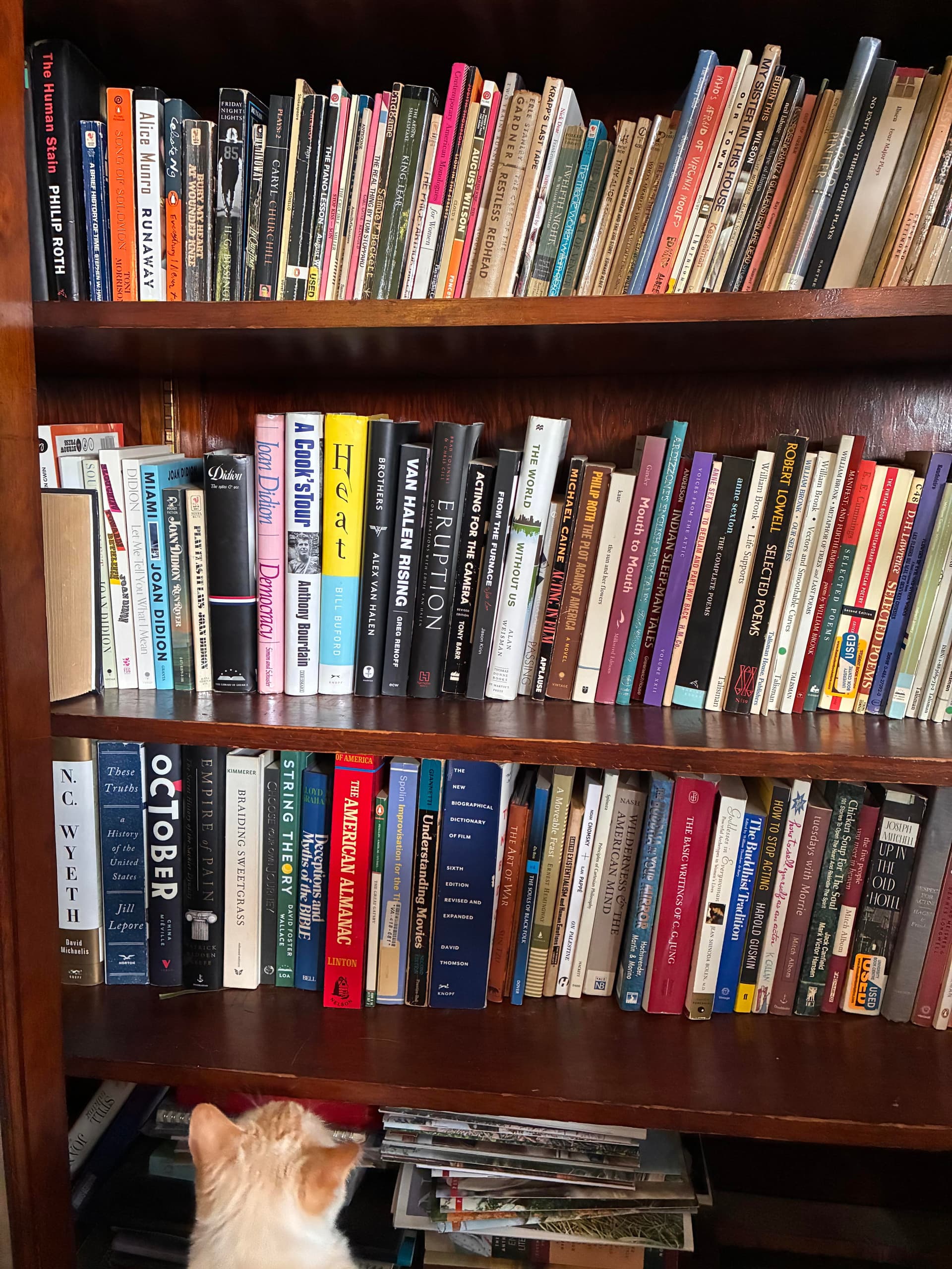 Bookshelf collection