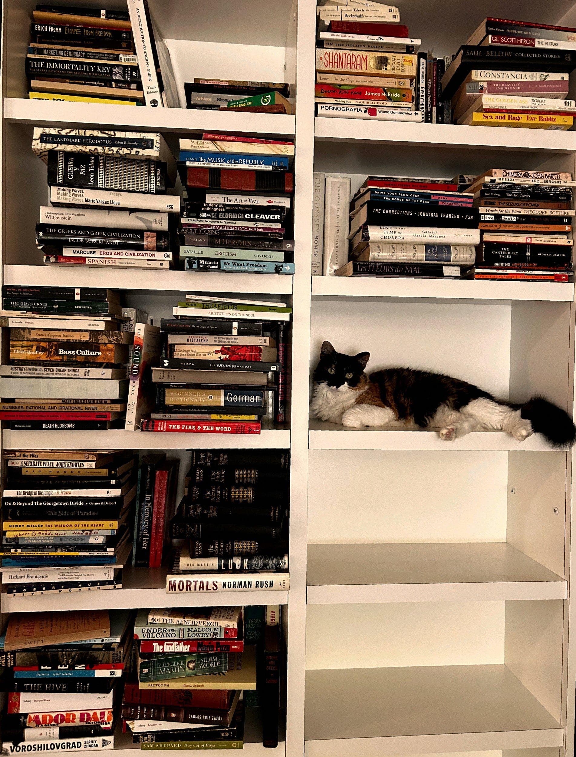 Uploaded bookshelf