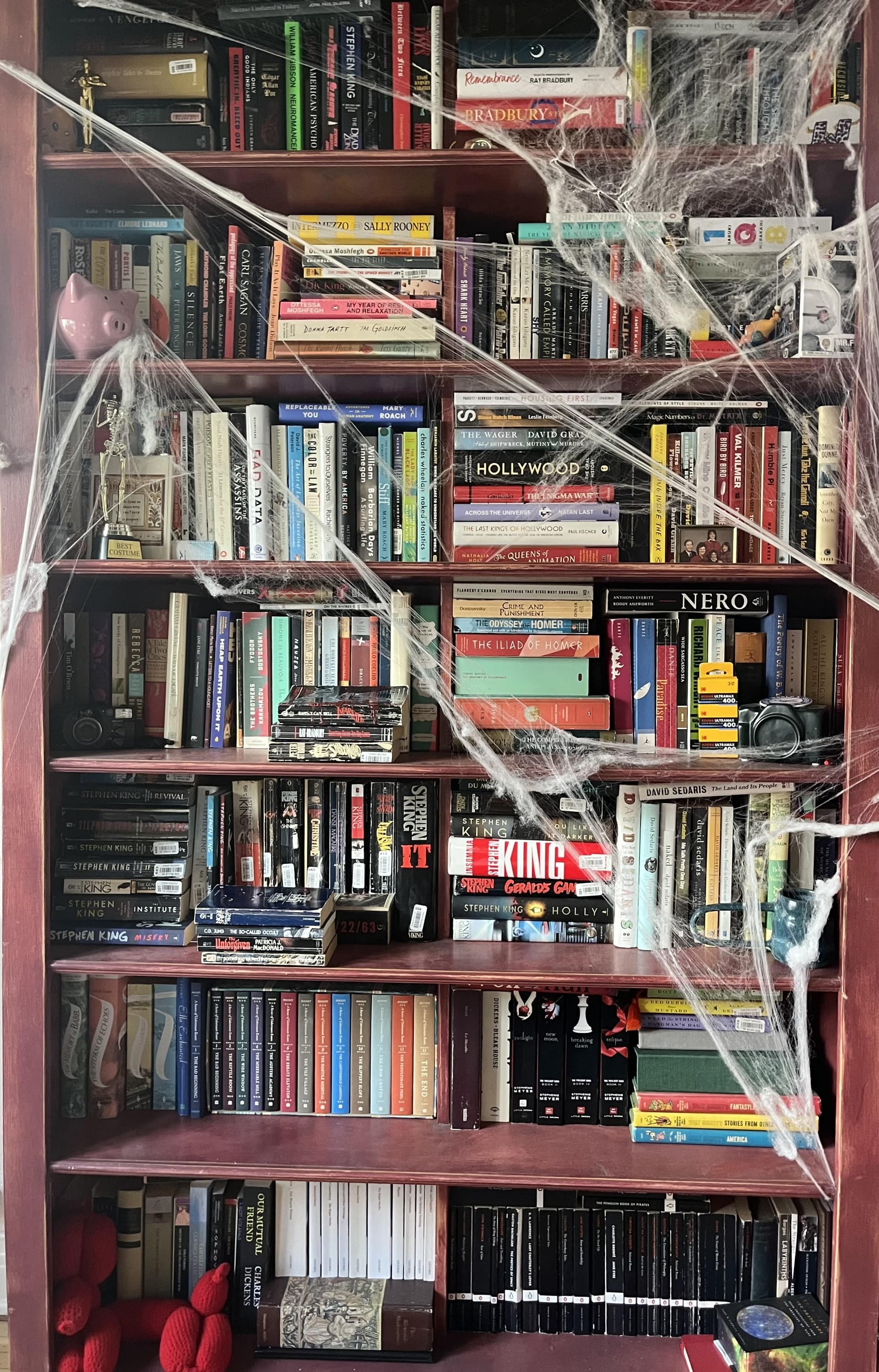Uploaded bookshelf
