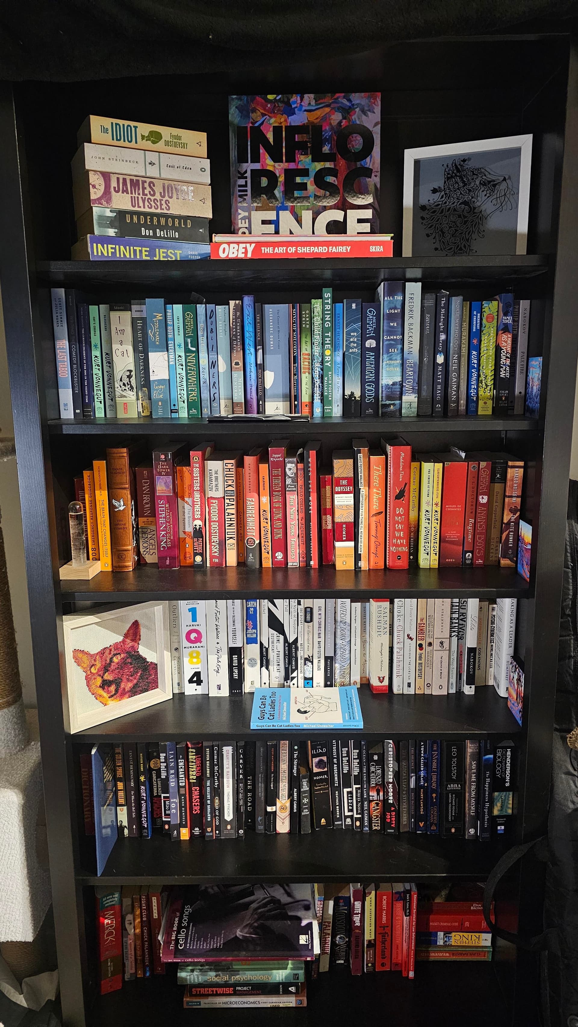 Uploaded bookshelf