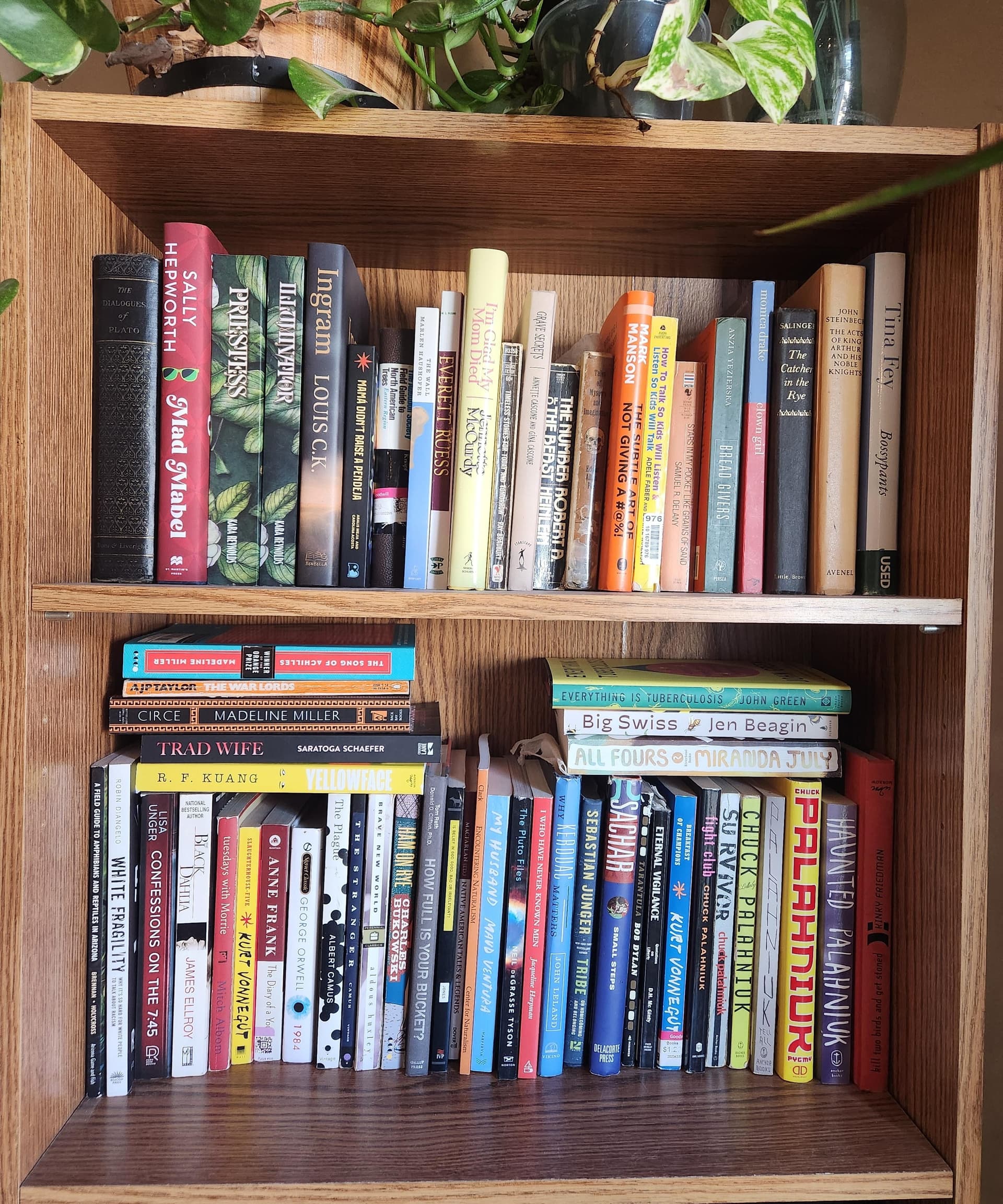 Uploaded bookshelf